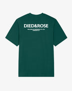 Glazed Green Christian streetwear T-shirt back design with white Died & Rose logo and Romans 6:4 verse, relaxed fit faith-based tee