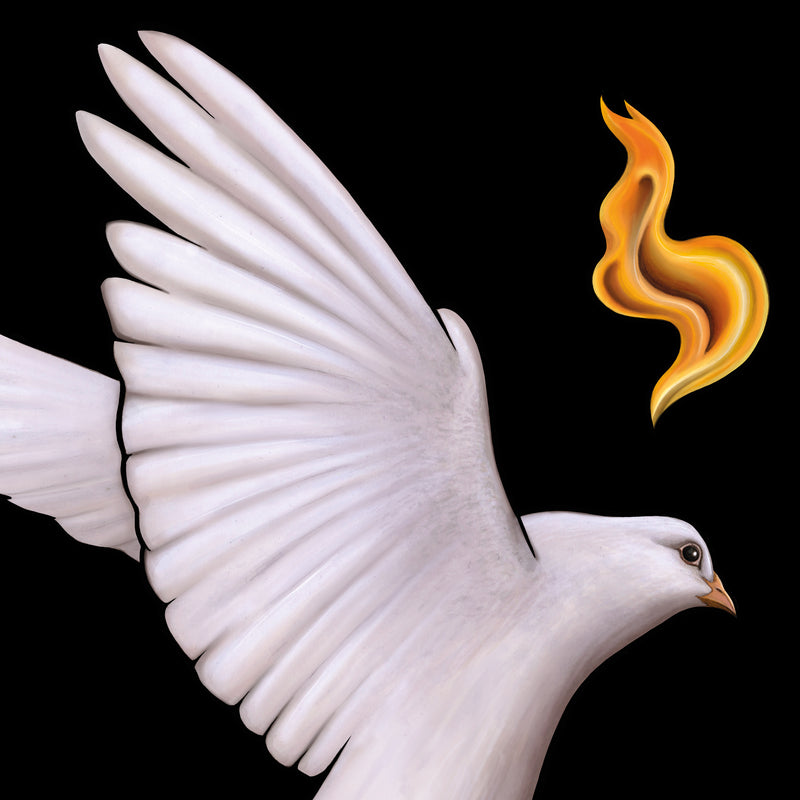 Christian Artwork of a White dove with outstretched wings and a flame-like symbol on a black background